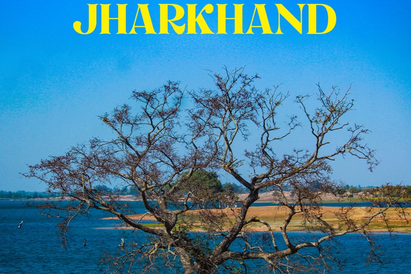 सरना धर्म कोड